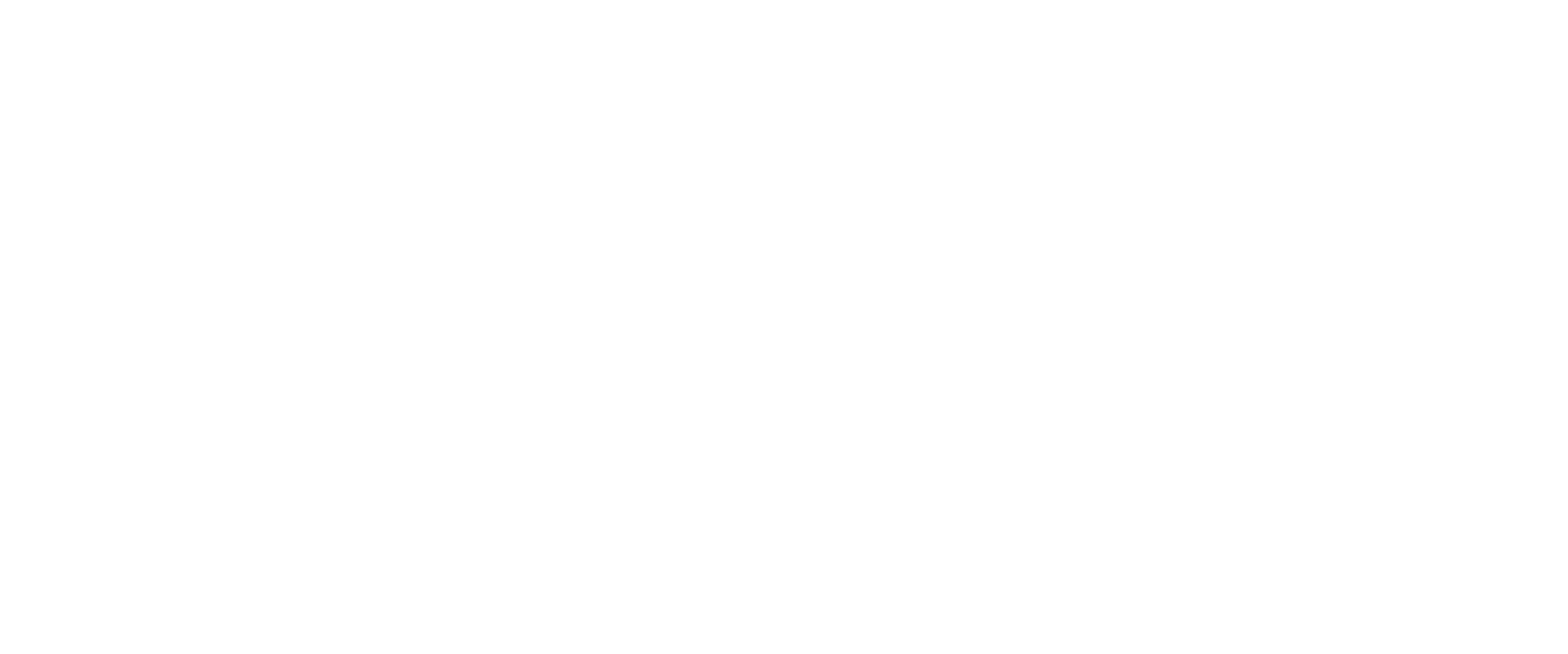 Palazzo Group